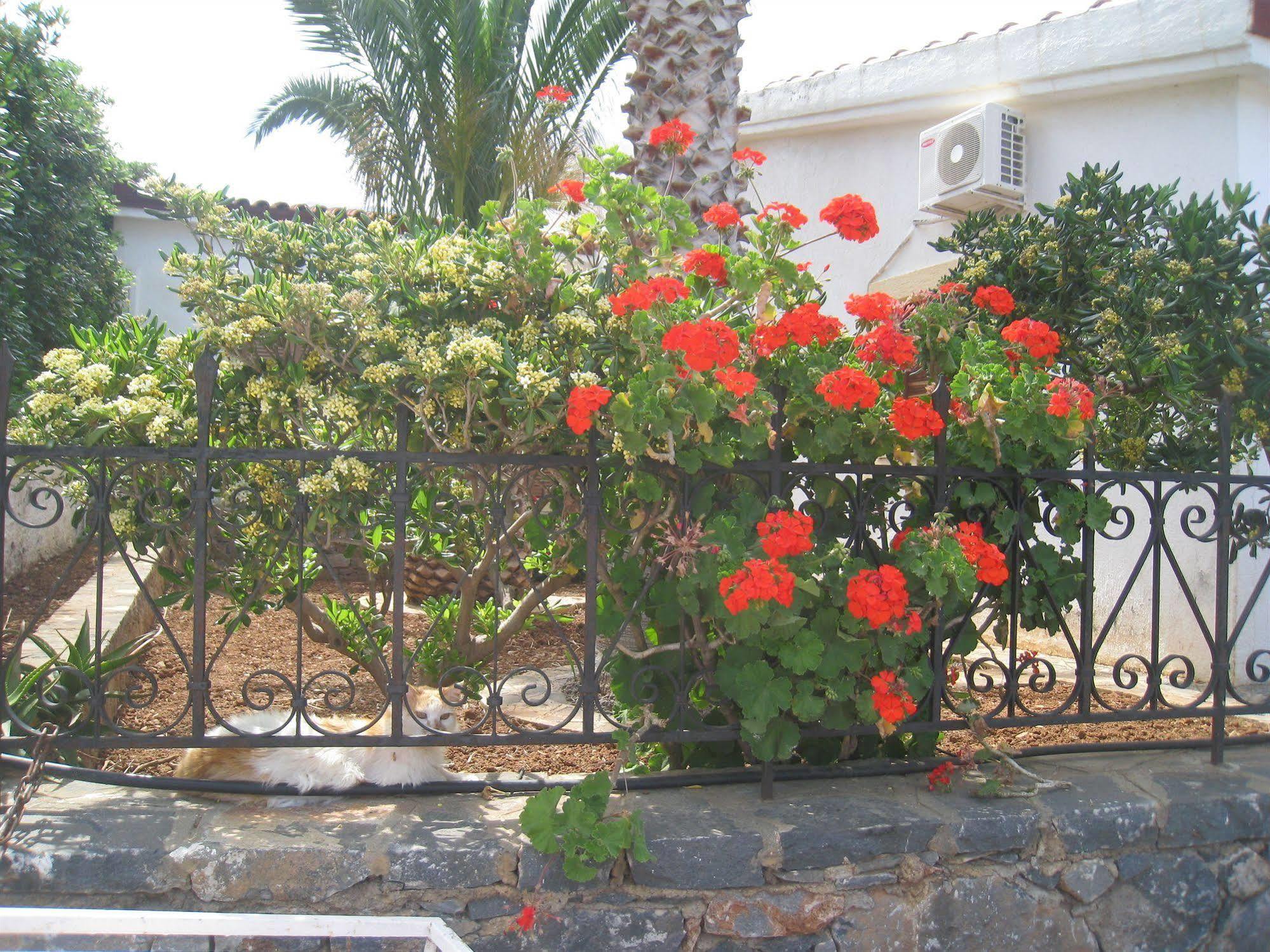 Athina Villas เอลุนดา ภายนอก รูปภาพ